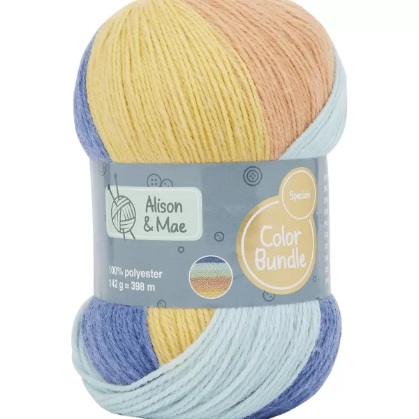 Alison & Mae Specials Breigaren Color Bundle Meerkleurig New