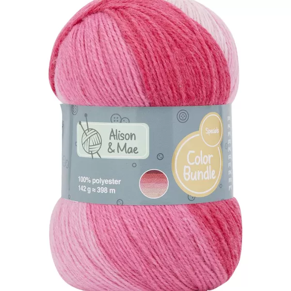 Alison & Mae Specials Breigaren Color Bundle Meerkleurig New