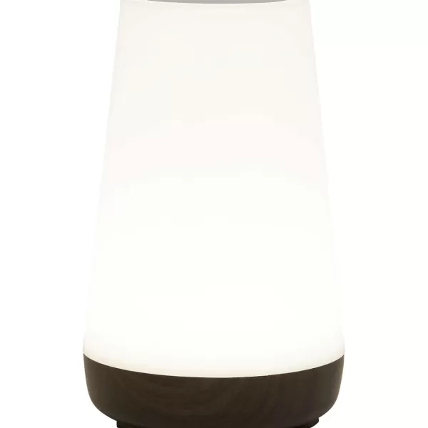 LSC Smart Connect Deluxa Touch Lamp Clearance