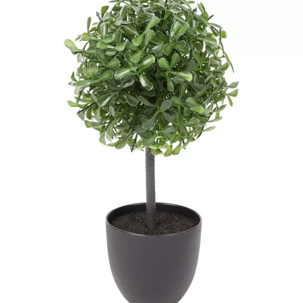 Merk Kunstbuxus Groen Clearance